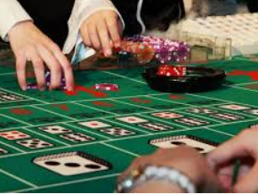 壹号168pg下载2024最新版